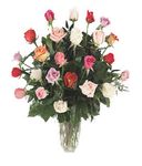 Two dozen mixed roses Two dozen mixed roses