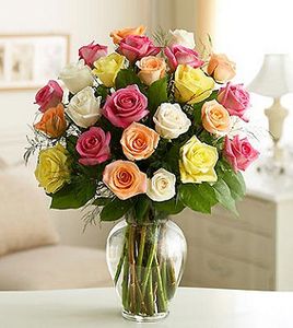 Two Dozen Premium Long Stem Assorted Roses