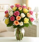 Two Dozen Premium Long Stem Assorted Roses Two Dozen Premium Long Stem Assorted Roses