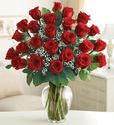 Two Dozen Premium Long Stem Red Roses