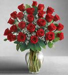 Two Dozen Premium Long Stem Red Roses 