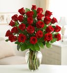  Two Dozen Premium Long Stem Red Roses 