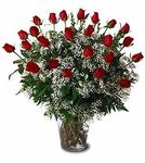 Two Dozen Red Roses Two Dozen Red Roses