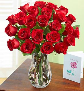Two Dozen Red Roses 