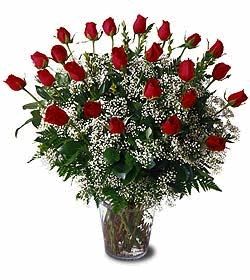 Two Dozen Red Roses