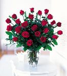 Two Dozen Red Roses Valentine's Day Two Dozen Red Roses Valentine's Day