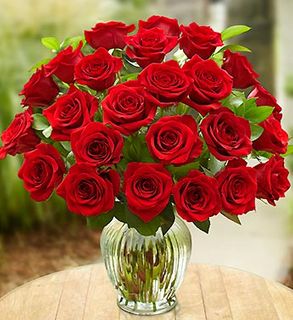 Two Dozen Red Roses -christmas Vase variety