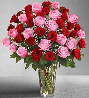 Ultimate Elegance Long Stem Pink & Red Rose