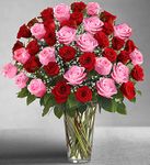 Ultimate Elegance Long Stem Pink & Red Rose