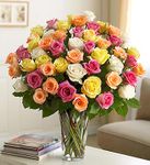 Ultimate Elegance Premium Long Stem Assorted Roses Ultimate Elegance Premium Long Stem Assorted Roses