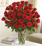 Red Roses bouquet Red Roses bouquet
