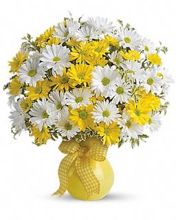 Upsy Daisy