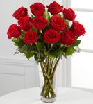 Valentine Long Stem Red Rose Bouquet Valentine Long Stem Red Rose Bouquet