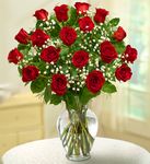 Premium Long Stem Red Roses Premium Long Stem Red Roses