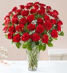 Valentine Red Roses Beauty - 3 Dozen Long Stemmed Roses Valentine Red Roses Beauty - 3 Dozen Long Stemmed Roses
