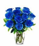 Valentine's Blue Rose