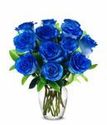 Valentine's Blue Rose