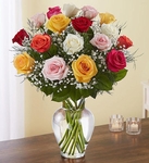 Flowers-Lily, Orchids, Sunflower