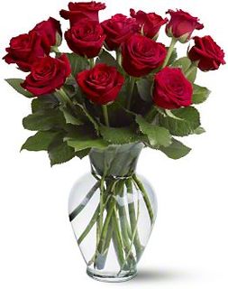 Roses 