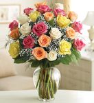 Valentine Two Dozen Premium Long Stem Assorted Roses