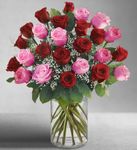 Valentine Ultimate Elegance Long Stem Pink and Red Roses