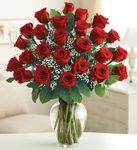 Two Dozen Premium Long Stem Red Roses Two Dozen Premium Long Stem Red Roses