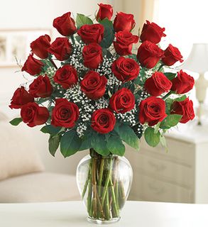 Two Dozen Premium Long Stem Red Roses 