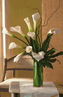 White Callas lilies Arrangement