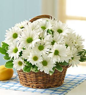 White Daisy Basket 