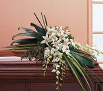 White Orchid Spray