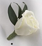 White Rose Boutonniere  White Rose Boutonniere