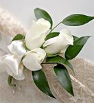 White Rose Corsage  White Rose Corsage