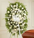 White Sympathy Standing Spray 