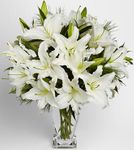White Lilies White Lilies