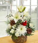 Wintertime Birds Nest of Flowers