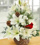 Wintertime Birds Nest of Flowers