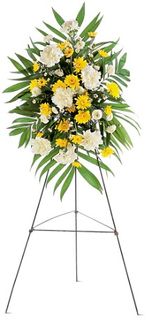 Yellow Dawn Spray Flowers