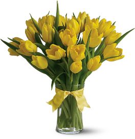 Yellow Tulips Flowers