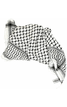 Black Palestinian Scarf (aka Keffiyeh, Yashmagh, Amama, Shemagh, or Ghutrah) Exact Product May be Different than Shown (58" x 58" or similar size)