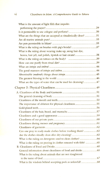 Cleanliness in Islam : A Comprehensive Guide to Tahara (Remzi Kuscular)