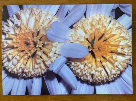 "Congratulations on your Marriage" Greeting Cards Set of 10 Cards with Envelopes