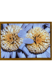 "Congratulations on your Marriage" Greeting Cards Set of 10 Cards with Envelopes