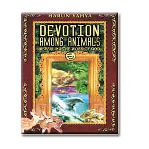 Devotion Among Animals : Revealing the Work of God (Harun Yahya)
