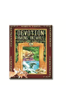 Devotion Among Animals : Revealing the Work of God (Harun Yahya)