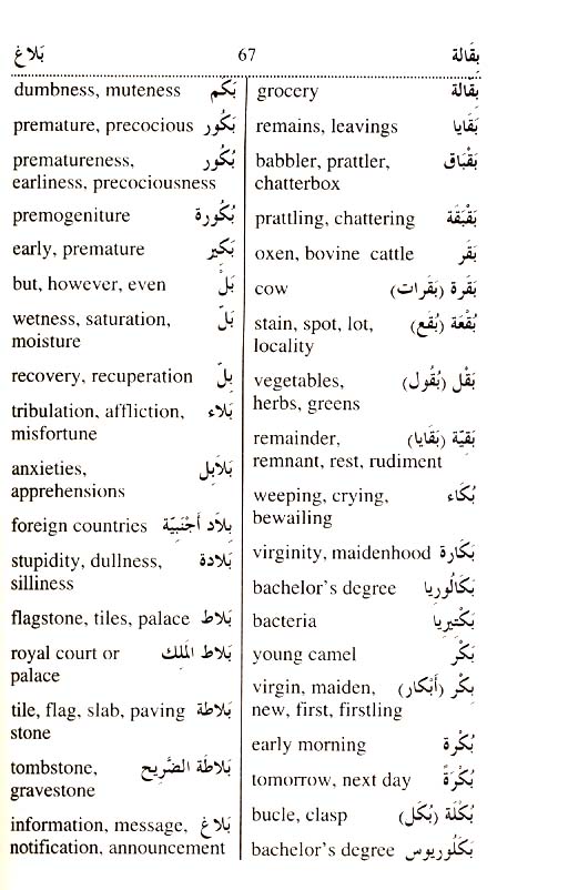 Goodword Arabic English Dictionary (Mohd Harun Rashid)