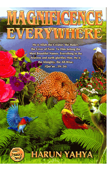 Magnificence Everywhere (Harun Yahya)