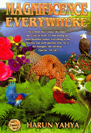 Magnificence Everywhere (Harun Yahya)