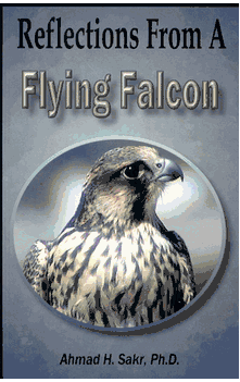 Reflections of a Flying Falcon (Ahmed Sakr, Ph.D.)