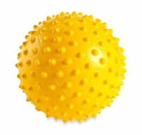 FitBALL Sensory Ball