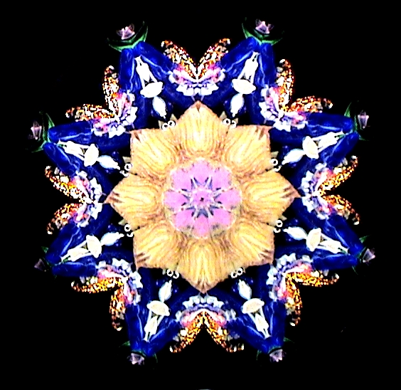 Stained Glass Art, Modern Glass Art, "Daisy Flower Series" Limited